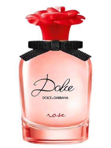 dolce gabbana red rose|dolce gabbana fragrantica.